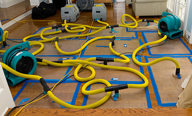 Professional Sewage Cleanup technician working in North Branch, MN